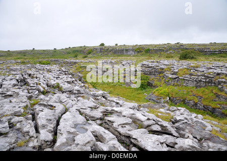 Karst Felsformationen The Burren Irland Stockfoto