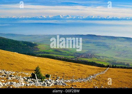 Blick vom Mount Chasseral (Jura-Gebirge) über dem Nebel bedeckt Mittelland und Kanton Bern auf die Schweizer Alpen. Stockfoto