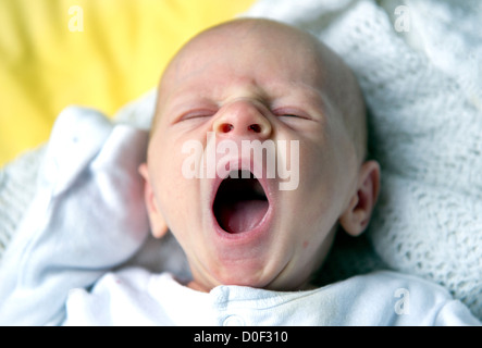 Ein vier Wochen altes Baby Gähnen Stockfoto