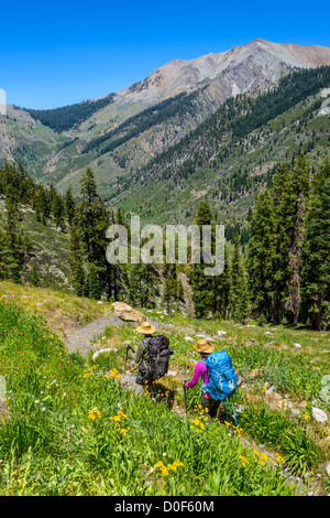 Mosquito Seen, Sequoia Nationalpark, Kalifornien, USA Stockfoto