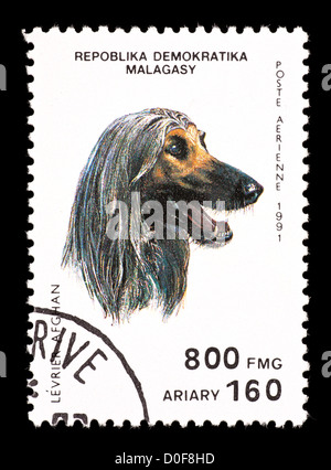Briefmarke aus Madagaskar, ein Afghanischer Windhund darstellen. Stockfoto
