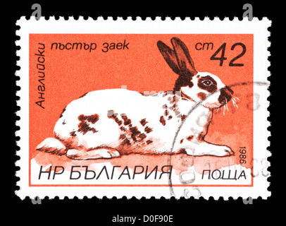 Briefmarke aus Bulgarien mit Kaninchen. Stockfoto