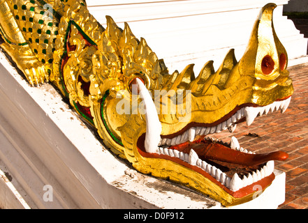 Schlange, Aggression nachzuverfolgen. Sorgfältig. Stockfoto