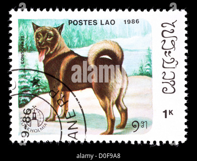 Briefmarke aus Laos ein Elchhund darstellt. Stockfoto