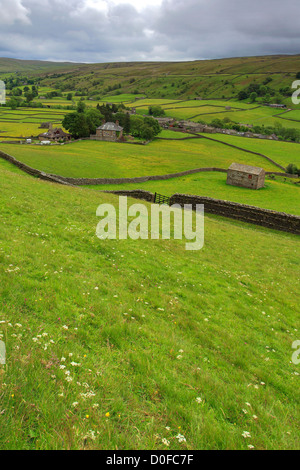 Stein Scheunen, Blumenwiesen, Muker Dorf, Swaledale; Yorkshire Dales National Park, England, Vereinigtes Königreich Stockfoto