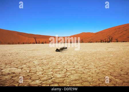 Death Vlei Salzsee in Namibia mit seinen rissigen Boden Stockfoto