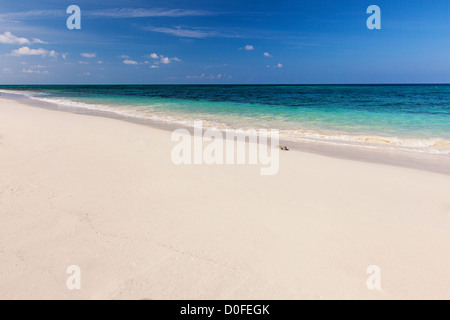 Ocean Beach an Bita Bucht an Green Turtle Cay, Bahamas. Stockfoto