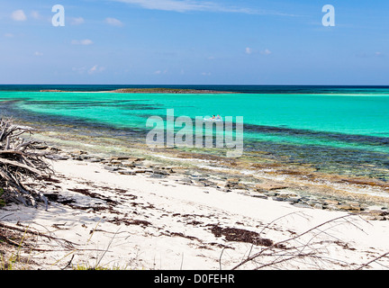 Kajakfahrer erkunden Sie Bita Bucht entlang auf Green Turtle Cay, Bahamas. Stockfoto