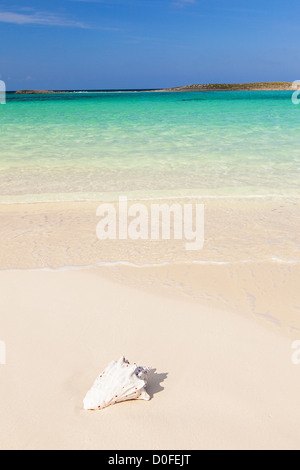 Ocean Beach an Bita Bucht an Green Turtle Cay, Bahamas. Stockfoto