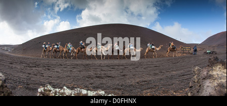 Touristen auf Kamel-Safari in den Nationalpark Timanfaya, Lanzarote, Kanarische Inseln Stockfoto