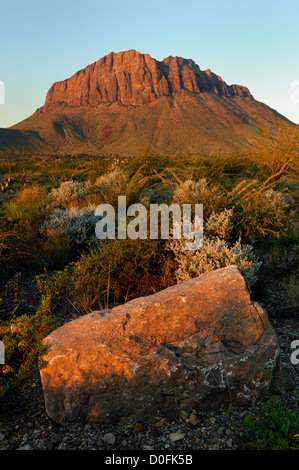 Chisos Mountains in Big Bend Nationalpark Texas Stockfoto