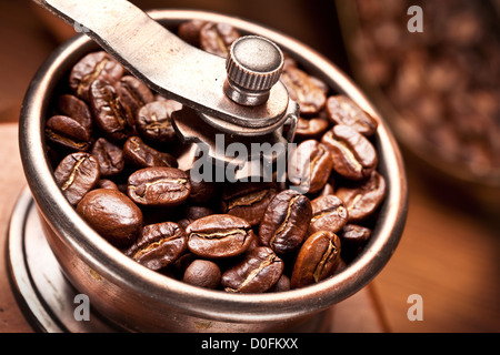 Gerösteter Kaffeebohnen werden in einer Kaffeemühle. Stockfoto