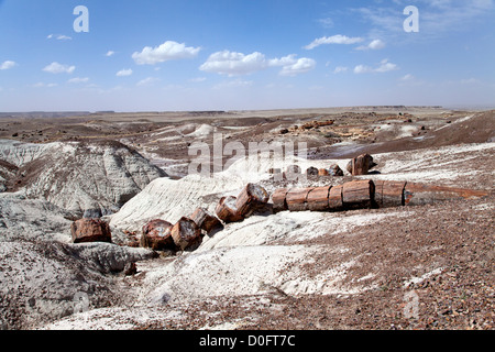 Versteinerte Baum gebrochen in Abschnitte im Petrified Forest National Park in Arizona. Stockfoto