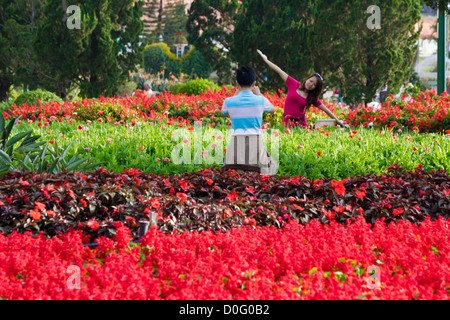 Ein paar Bilder bei der Blumenpark in Dalat, Vietnam Stockfoto