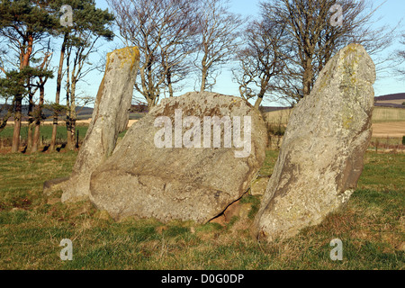 Standing Stones in der Nähe von Insch Schottland in der Nähe von Dunnideer Wallburg Stockfoto