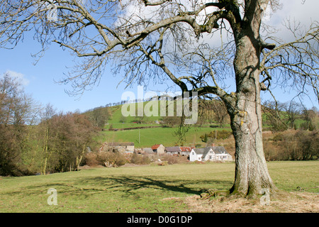 Offa es Dyke Path Graig Hill von Clun Tal Newcastle Shropshire England UK Stockfoto