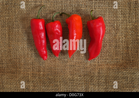 Draufsicht auf vier red Hot Peppers auf grauem Hintergrund Leinen Stockfoto