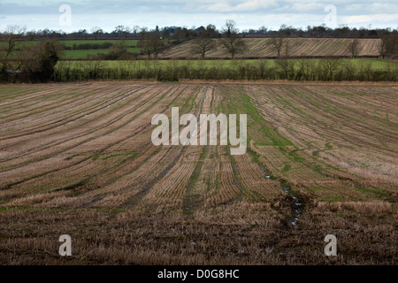 Broadmoor Field, Naesby, Bereich angenommen, wo während des englischen Bürgerkriegs die Schlacht von Naesby statt. Stockfoto