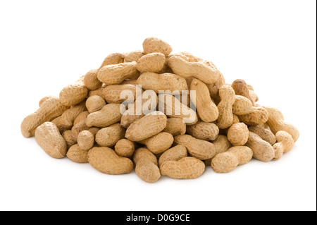 ein Haufen von Erdnüssen oder Monkey Nuts isoliert auf weißem Hintergrund Stockfoto