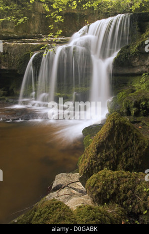 Upper Kessel Falls auch bekannt als West Burton fällt, Walden Beck bei West Burton, Wharfedale, Yorkshire Dales, UK Stockfoto