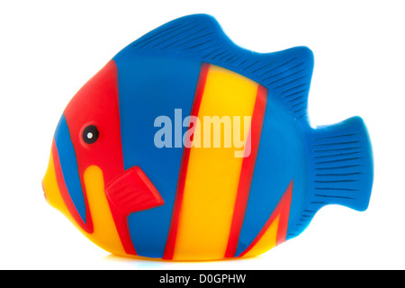 Bunte Tropenfische isoliert auf weißem Hintergrund Stockfoto