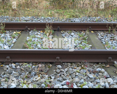 Eisenbahnlinien / Eisenbahnschienen Stockfoto