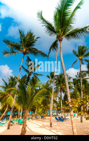 Pool-Bereich; Riu Palace; Hotel; Punta Cana; Dominikanische Republik; Karibik Stockfoto