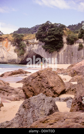 Cathedral Cove Marine Reserve, beliebte Attraktion mit Besuchern, Strand, ungewöhnliche Felsformationen, Bögen, Inseln, Speerfischen, Tauchen Stockfoto