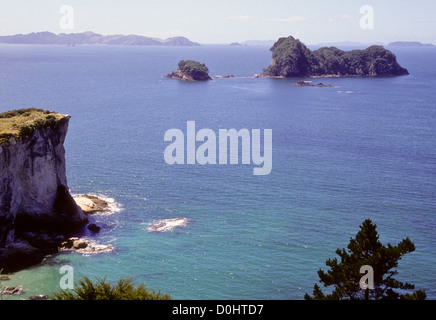 Cathedral Cove Marine Reserve, beliebte Attraktion mit Besuchern, Strand, ungewöhnliche Felsformationen, Bögen, Inseln, Speerfischen, Tauchen Stockfoto