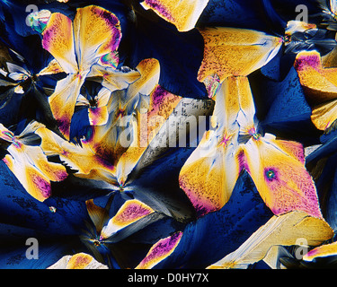 2,2' 4', 2 Mischung, Diphenyl Sulphone Crystals, gekreuzte Bogenformaten, x50 Stockfoto