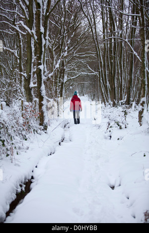 Eine Walker in einem roten Mantel inmitten frischer Schnee fallen in einem Wald nahe dem Dorf Stowting in Kent. Stockfoto