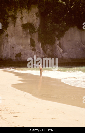 Cathedral Cove Marine Reserve, beliebte Attraktion mit Besuchern, Strand, ungewöhnliche Felsformationen, Bögen, Inseln, Speerfischen, Tauchen Stockfoto