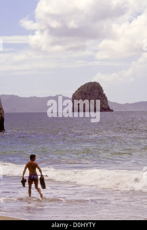 Cathedral Cove Marine Reserve, beliebte Attraktion mit Besuchern, Strand, ungewöhnliche Felsformationen, Bögen, Inseln, Speerfischen, Tauchen Stockfoto