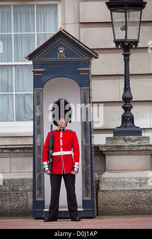 Ein Blick auf die Königinnenwache auf Wache vor Buckingham Palast. Stockfoto