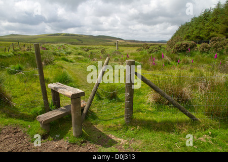 Stil und Wanderweg führt auf Bodmin Moor in North Cornwall. Stockfoto