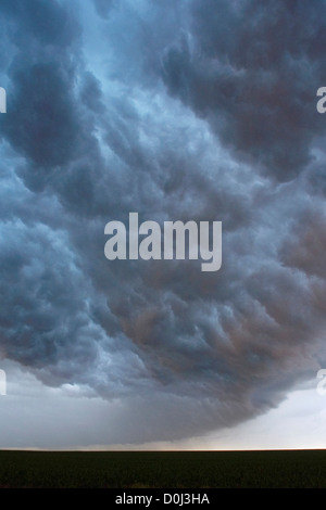 Auf der Rückseite von einer Shelf Cloud sorgen über den Himmel Stockfoto