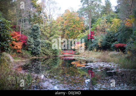 Gesamtansicht der Portmeirion Garten im Herbst. Das Dorf wurde entworfen und gebaut von Sir Clough Williams-Ellis in Nord-Wales Stockfoto