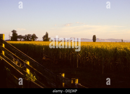 Gisborne, Kaiti Hill.The Hügel mit Blick auf die Stadt und herrliche Aussicht erhalten Sie der Poverty Bay, North Island, Neuseeland Stockfoto