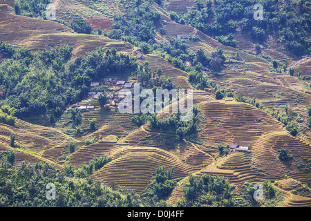 Reis-Terrassen im Norden von Vietnam, Sapa Stockfoto