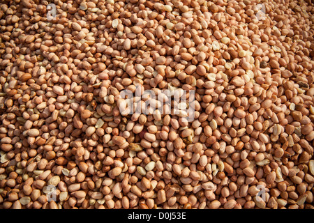 Erdnüsse sind bereit für die Verpackung in einem Warenlager in Dar Es Salaam, Tansania, Ostafrika. Stockfoto