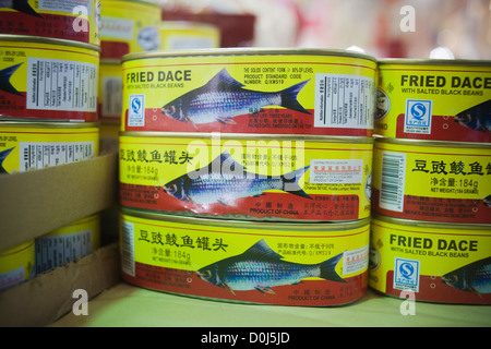 Dosen von gebratenen Dace in gesalzenem schwarz Bohnen werden in einem asiatischen Supermarkt in New York gesehen Stockfoto