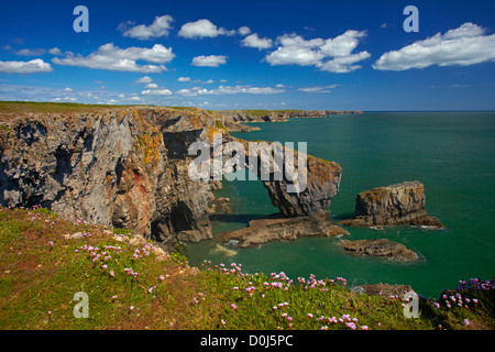 Der Grüne Brücke von Wales in Pembrokeshire Küstenweg. Stockfoto