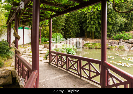 Hamilton Gardens, Waikato, Neuseeland, der chinesische Gelehrte Garten. Stockfoto