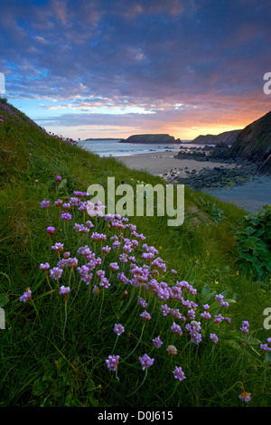 Sonnenuntergang über den Strand von Marloes Sands. Stockfoto