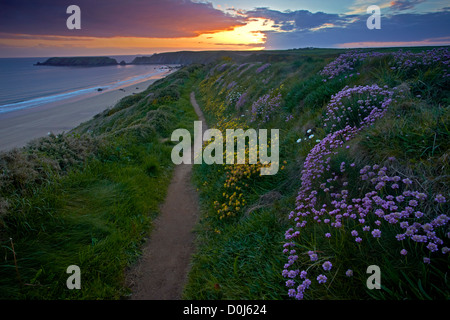 Sonnenuntergang über Marloes Strand vom Pembrokeshire Küstenweg. Stockfoto