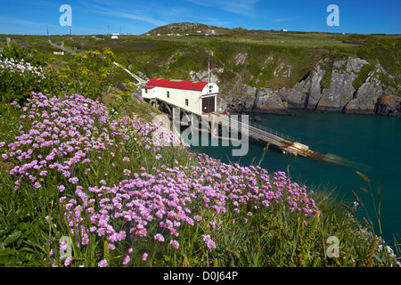 Die Rettungsstation am St Justinian vom Pembrokeshire Küstenweg. Stockfoto