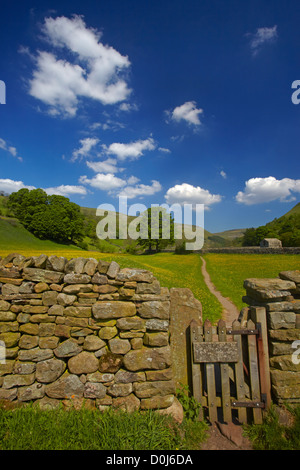 Tor durch Trockenmauer zum Frühsommer Butterblume Wiesen im Swaledale. Stockfoto