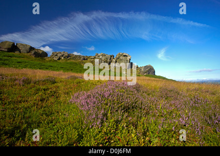 Die Kuh und Kalb Felsen auf Ilkley Moor. Stockfoto