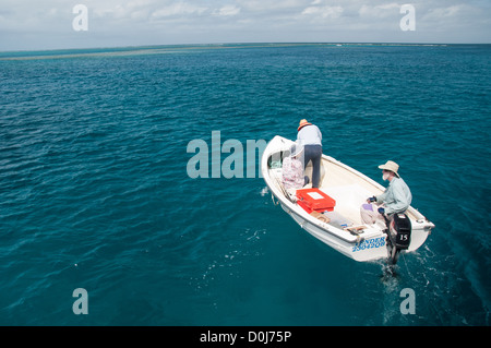 Ein kleines Boot mit drei Köpfen, auf flachen See Australiens Great Barrier Reef. Stockfoto