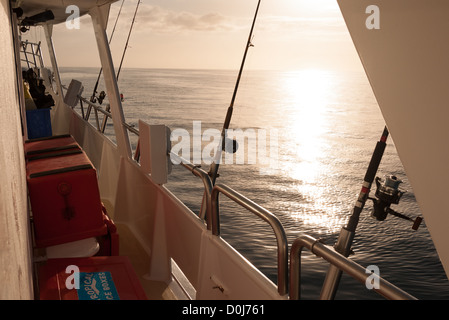 Angelruten sind seitlich an der MV Nacht überqueren, eine Charta Fischerboot mit Sitz in Gladstone, die einwöchigen Reisen Swains Reef am südlichen Ende des Great Barrier Reef, Queensland, Australien nimmt. Stockfoto